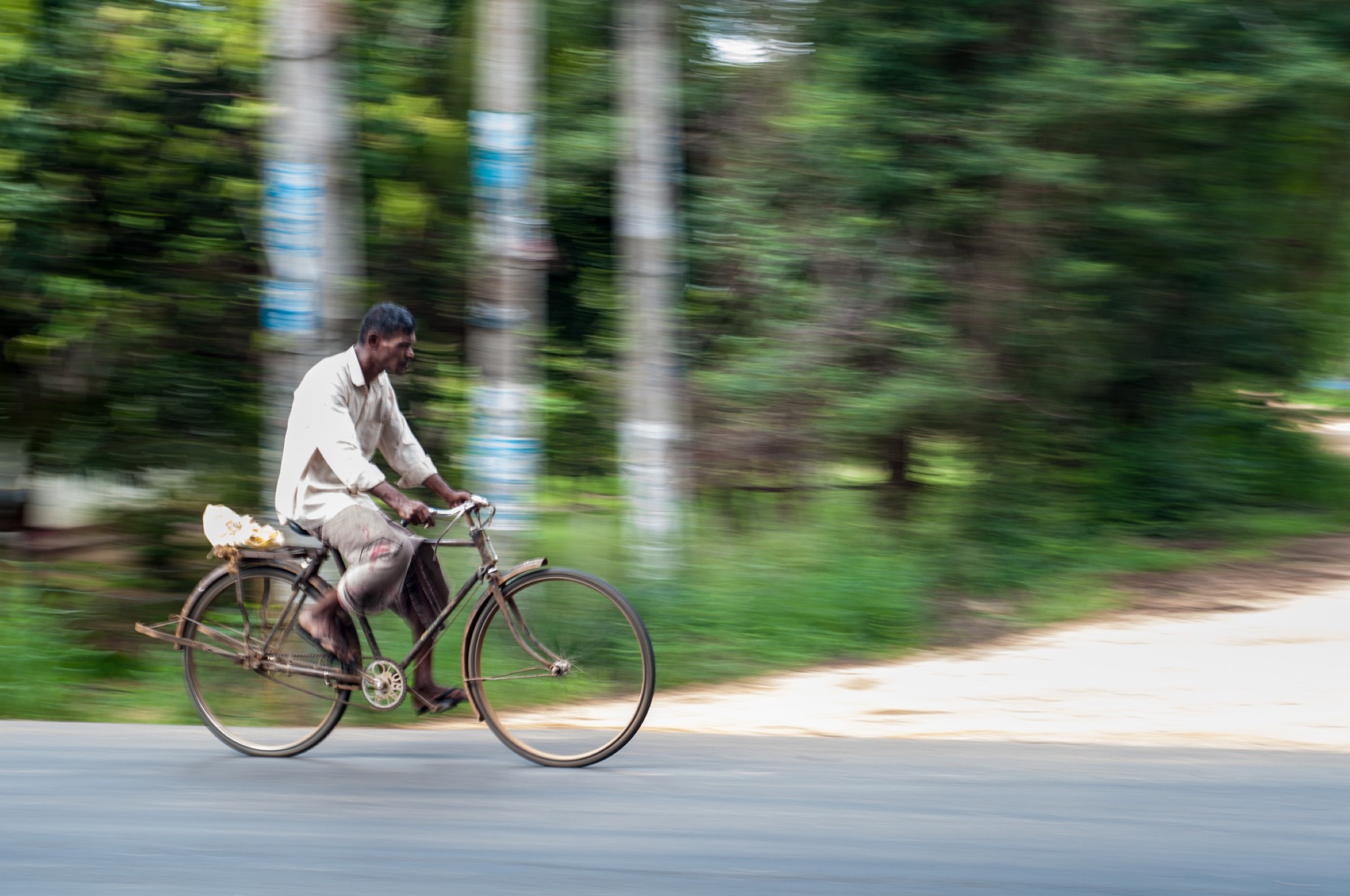 A man riding a bicycle past green trees, photographed with motion blur.